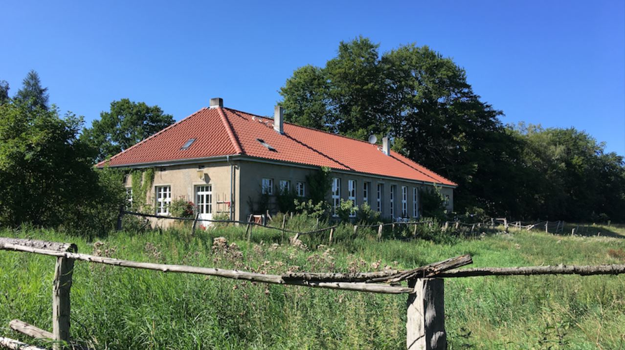 Bild Kunst, Natur und kreatives Arbeiten in Steinsfurth