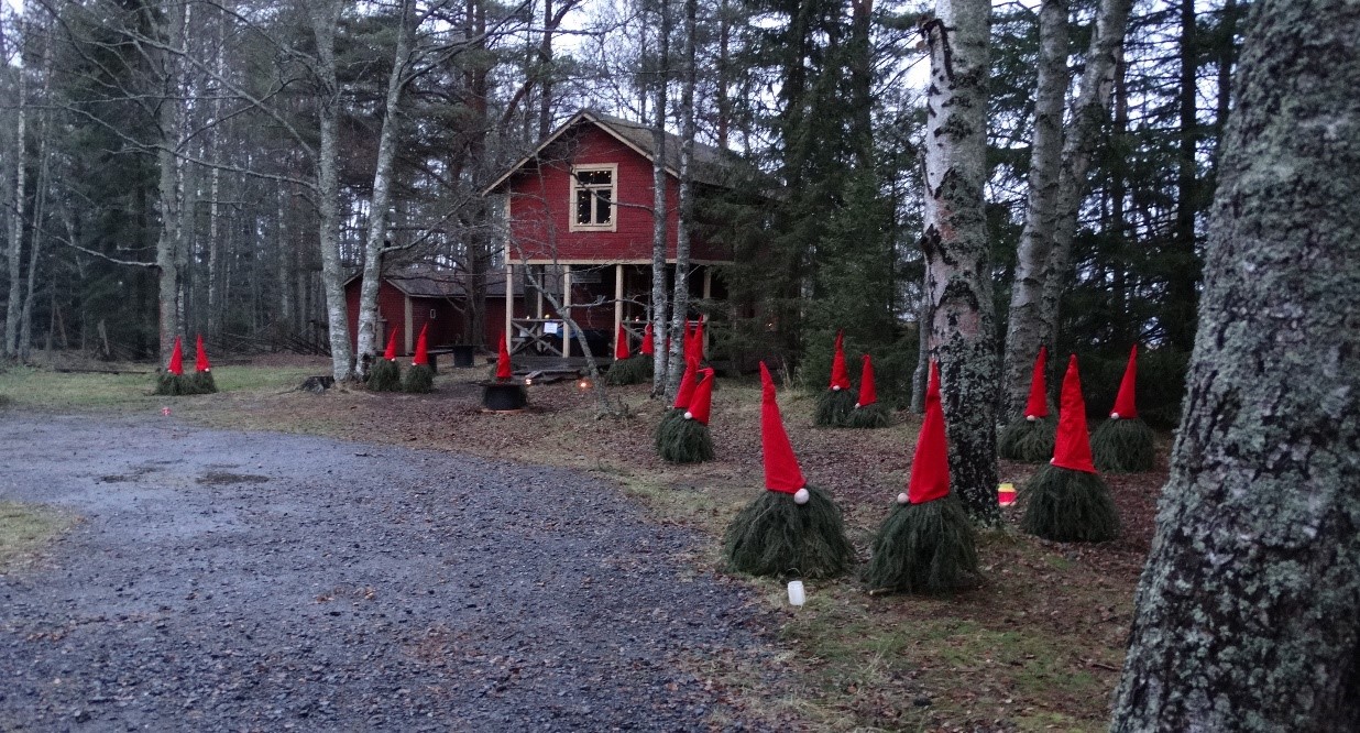 Bild Elf Around!