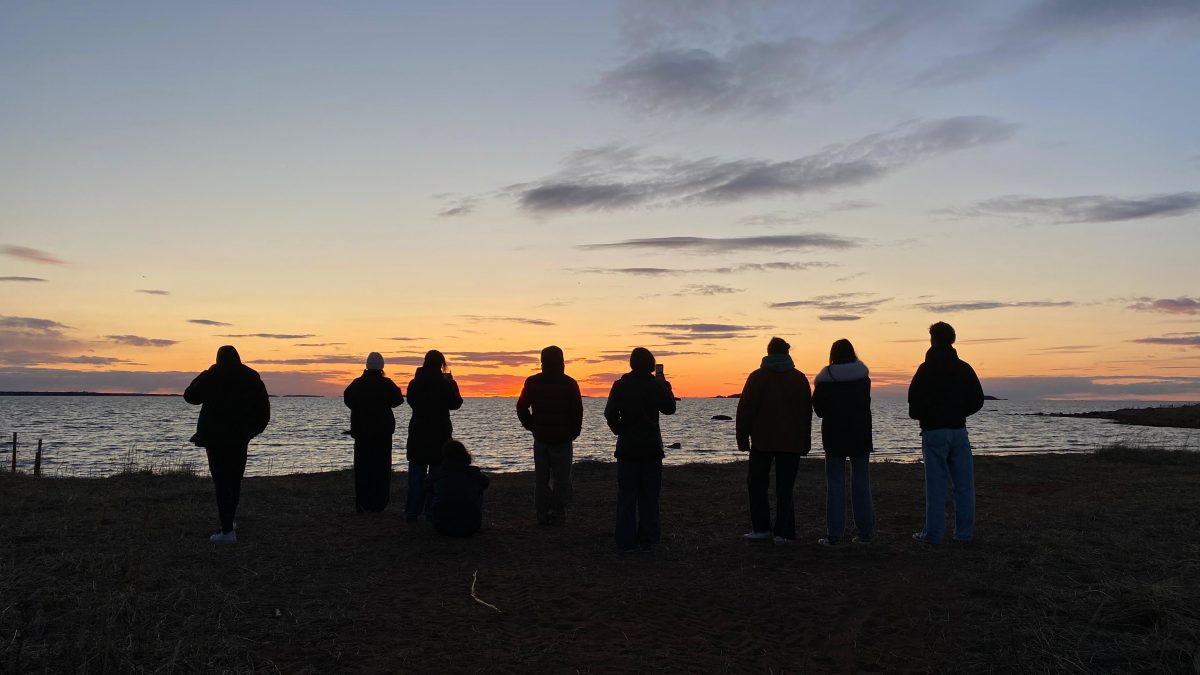 Bild Project Friendship