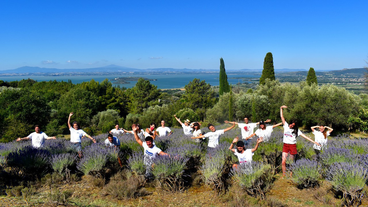 Bild Winter to Spring