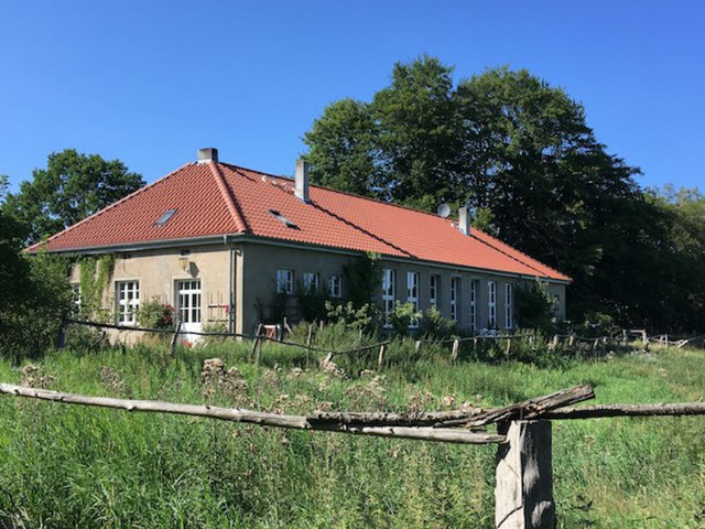 Bild Kunst, Natur und kreatives Arbeiten in Steinsfurth