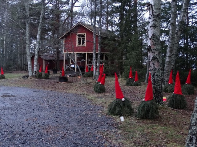 Bild Elf Around!