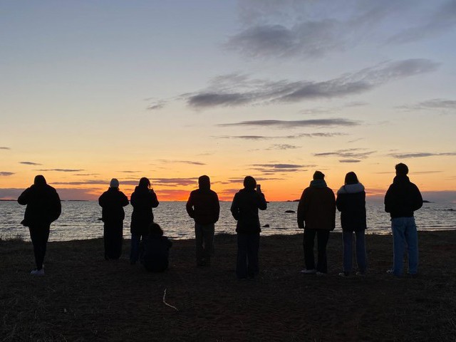 Bild Project Friendship