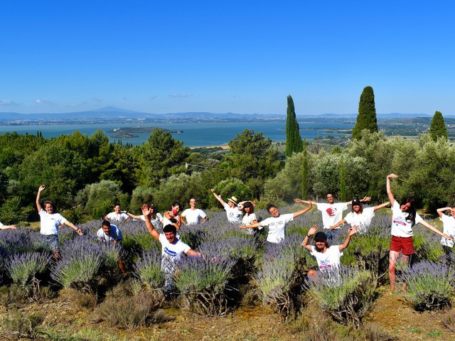 Bild Winter to Spring