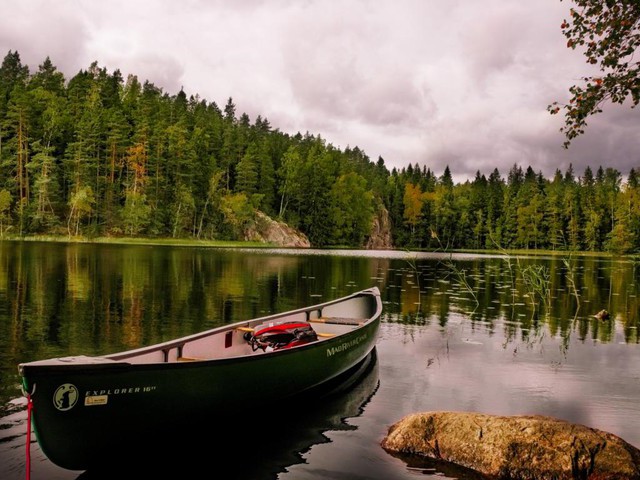 Bild Summer for Success