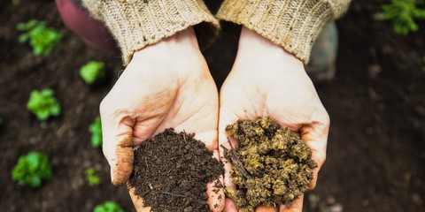Bild Klimaschutz & Garten