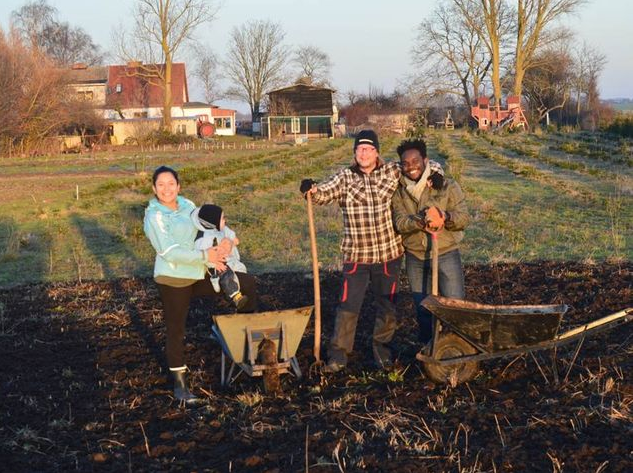 Bild Landwirtschaft erleben und gestalten - Freiwilligenarbeit bei Solawi